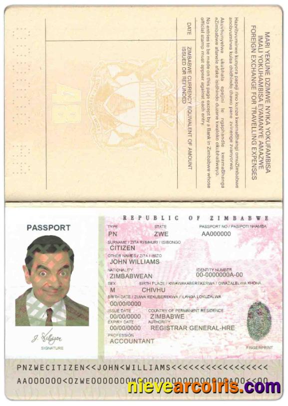 Zimbabwe passport